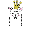 Lama Lama Alpaga Lama Reine