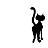 Katzenshirt - Katze - Geschenk