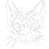 Katze, Mieze, Miezekatze, Geschenk, Geschenkidee