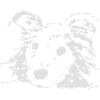 Dog, friend, pet