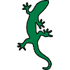 Lizard Salamander gecko