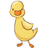 duck