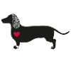 Dachshund Viwaldi - the stylish singer
