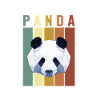 Panda hipster