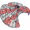 eagle head