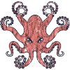 oktopus