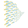 shoal of fish