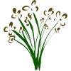 bunch of flowers