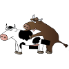 cattle censored