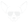 Chien shirt chihuahua chien shirt