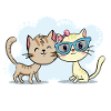 Amour de chat