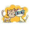 Amour de chat