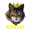 roi chat