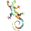 GECKO abstrakt bunt