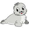 The little seal