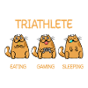 Triathlete - Eating Gaming Sleeping - Cat