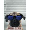 pug is life