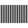 rayé noir et blanc