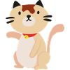 Chat chat