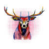Spotted deer