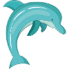 dolphin