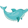 Dolphin Dolphin Bottlenose Dolphin