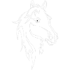horse