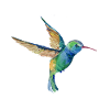Summenvogel-Liebhaber-Vogelbeobachter-Geschenk-Entwurf