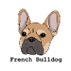 Bouledogue français, bouledogue français