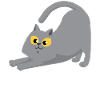 Happy gray cat stretching