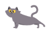 Gray cat stretching