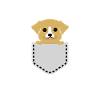Chien doux dans un sac
