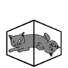 Fisico della meccanica quantistica di Fisica del gatto di Schrödinger
