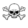 Skull with bones