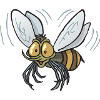 mosquito