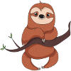 sloth
