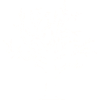 Vieux arbre