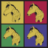 Horses pop art
