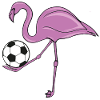 Flamingo Soccer Pink Soccer Gift