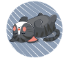 Sleeping cat