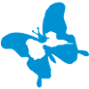guadeloupe_papillon