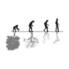 Evolution Black