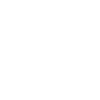 guinea pig