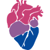 Bisexual heart