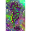Seepferdchen