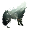 Der Wolf ist der Wald