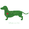 grass Dachshund