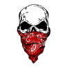 Crâne de bandit