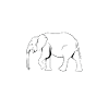 Always be yourself - elephant