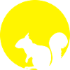 Squirrel In The Moonlight